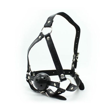 Face harness