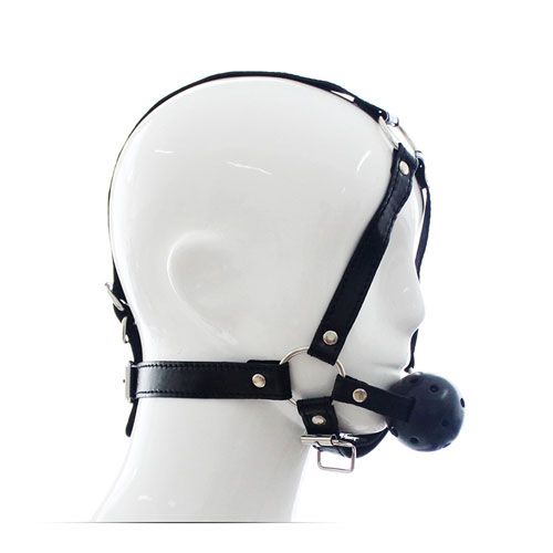 Face harness