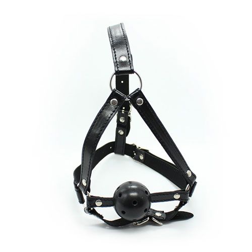 Face harness